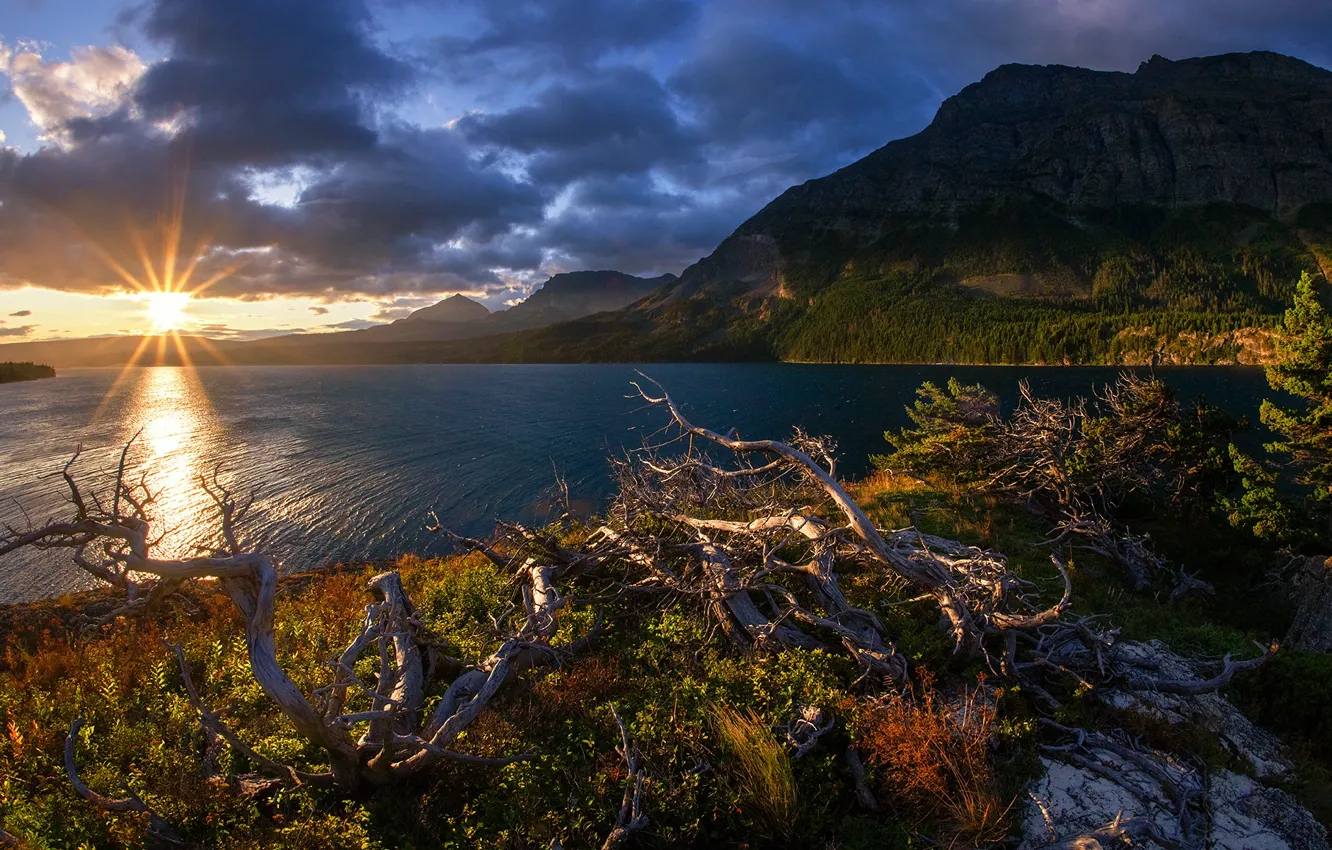 Photo wallpaper mountains, lake, sunrise, dawn, Montana, driftwood, Glacier National Park, Saint Mary Lake