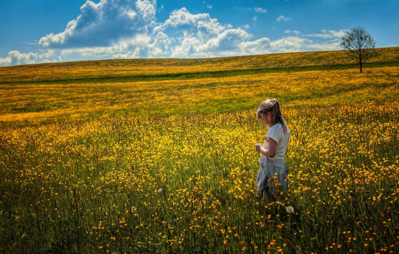 Photo wallpaper field, summer, girl