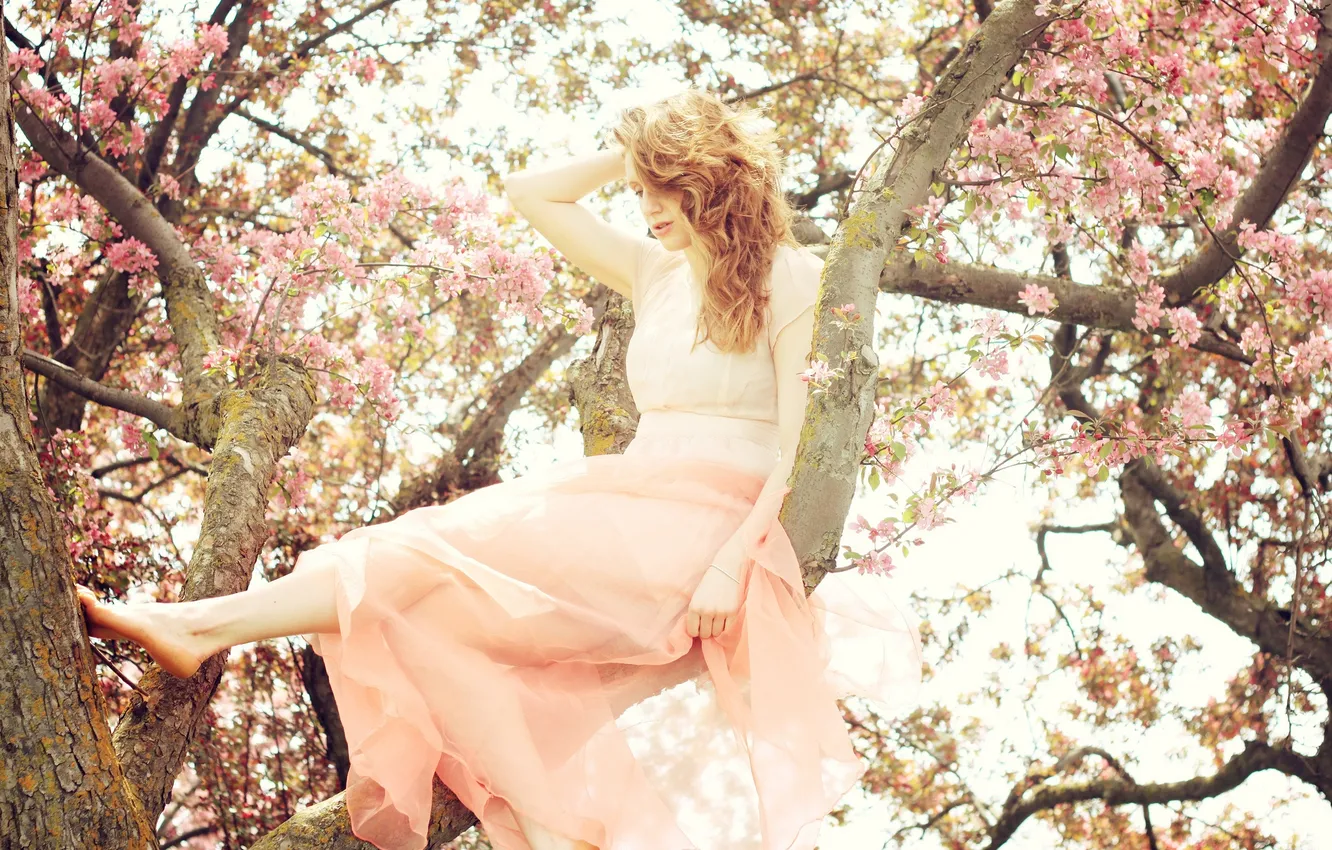 Photo wallpaper girl, the sun, trees, flowers, hair, dress