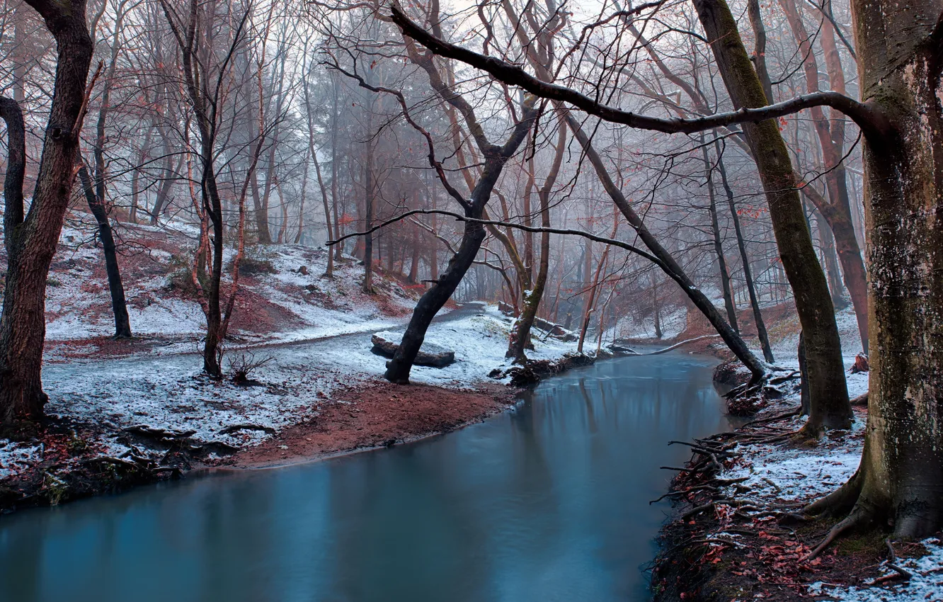 Photo wallpaper winter, trees, river