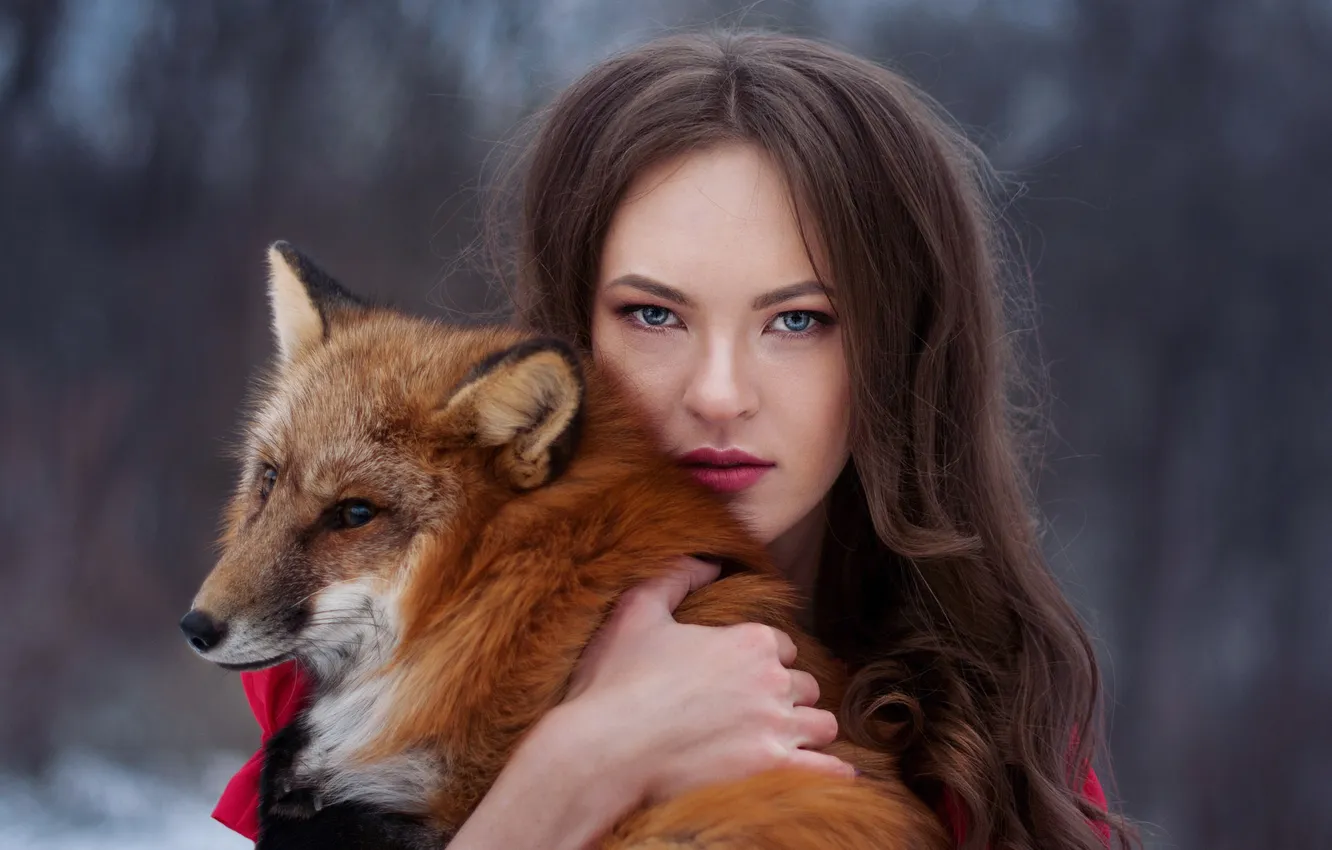 Photo wallpaper girl, pose, portrait, Fox, brown hair, pet, holding a