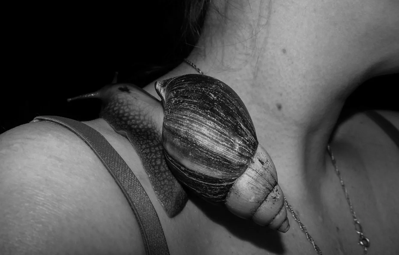 Photo wallpaper girl, snail, shoulders, neck, clavicle, Achatina