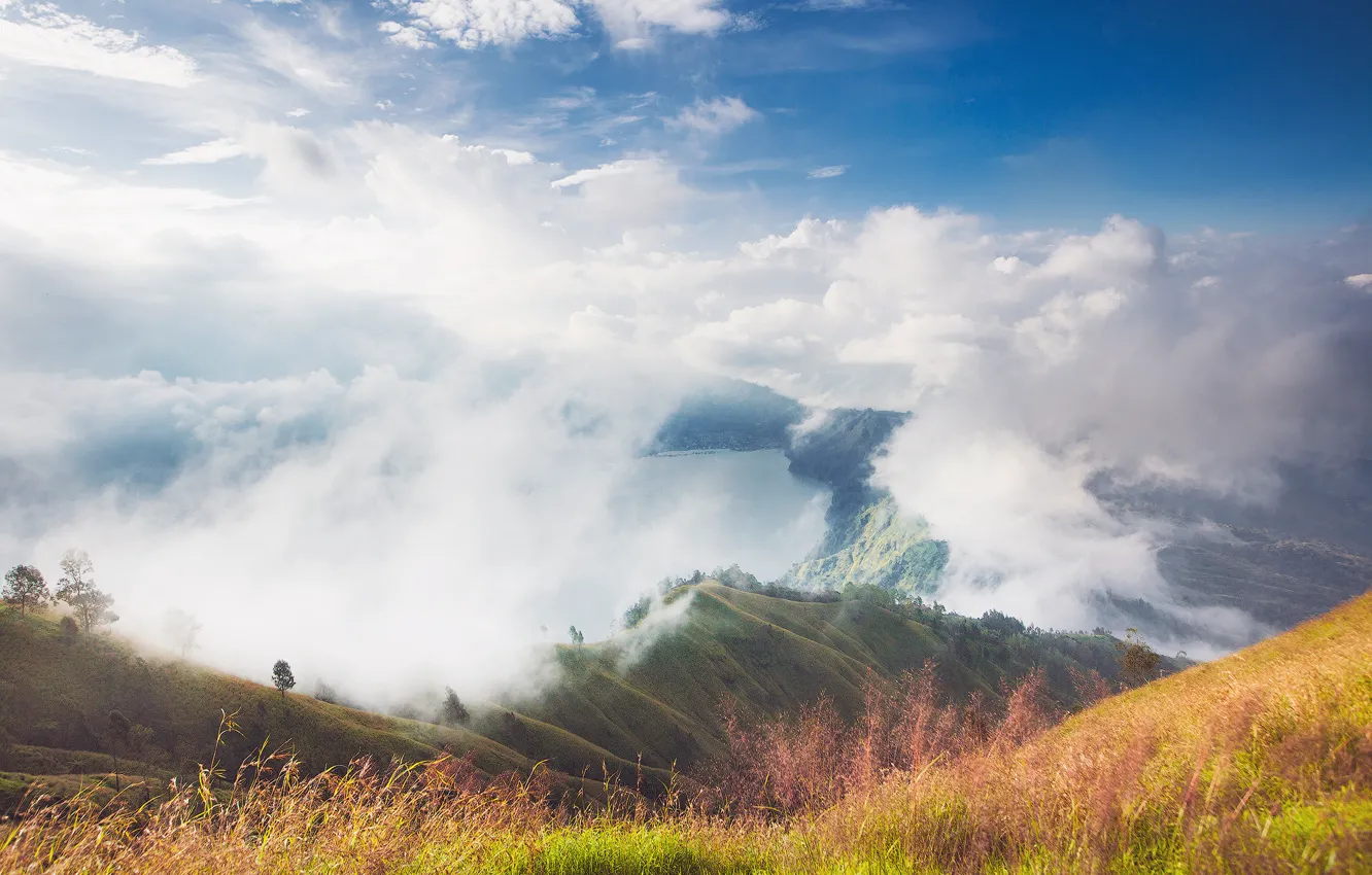 Photo wallpaper trees, mountains, lake