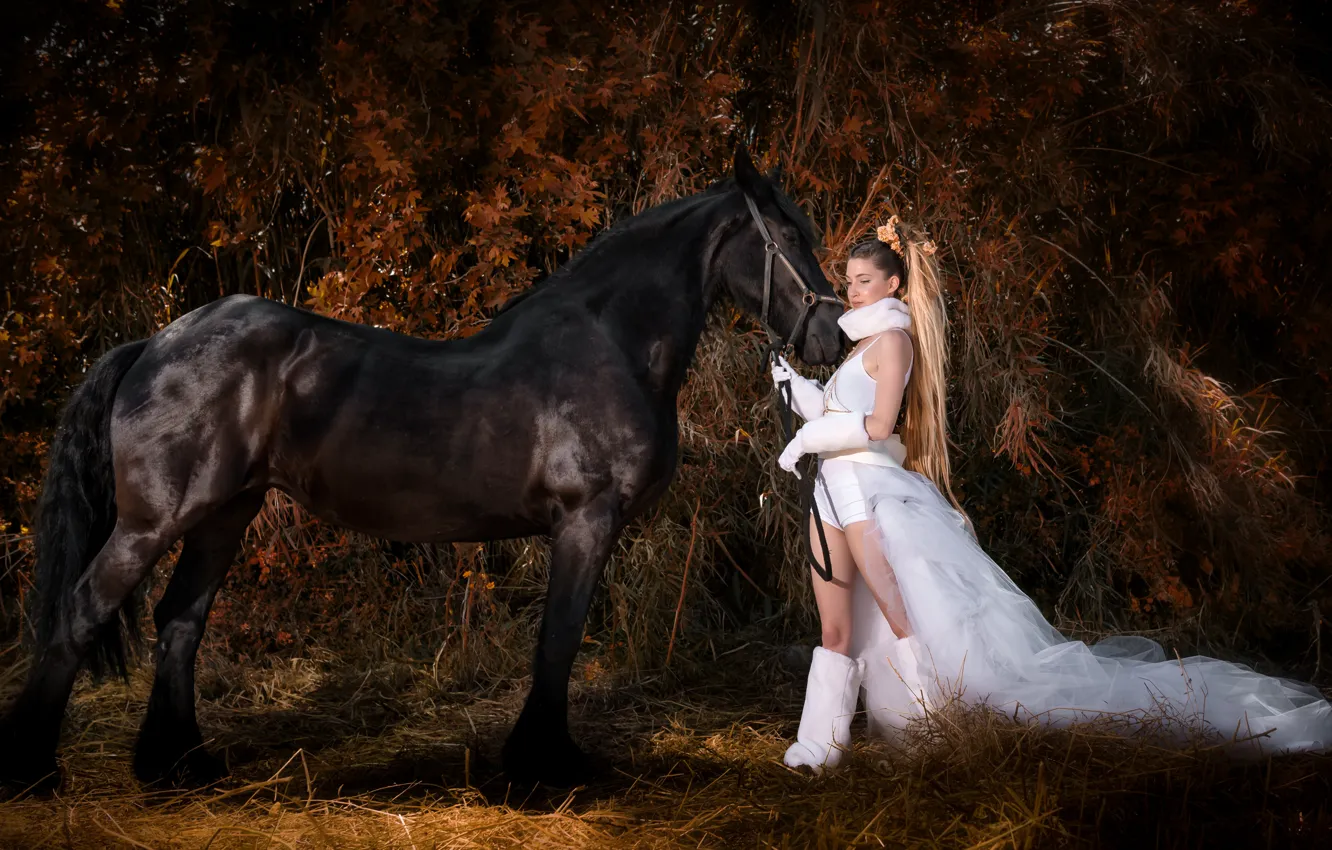 Photo wallpaper horse, blonde, gloves, boots