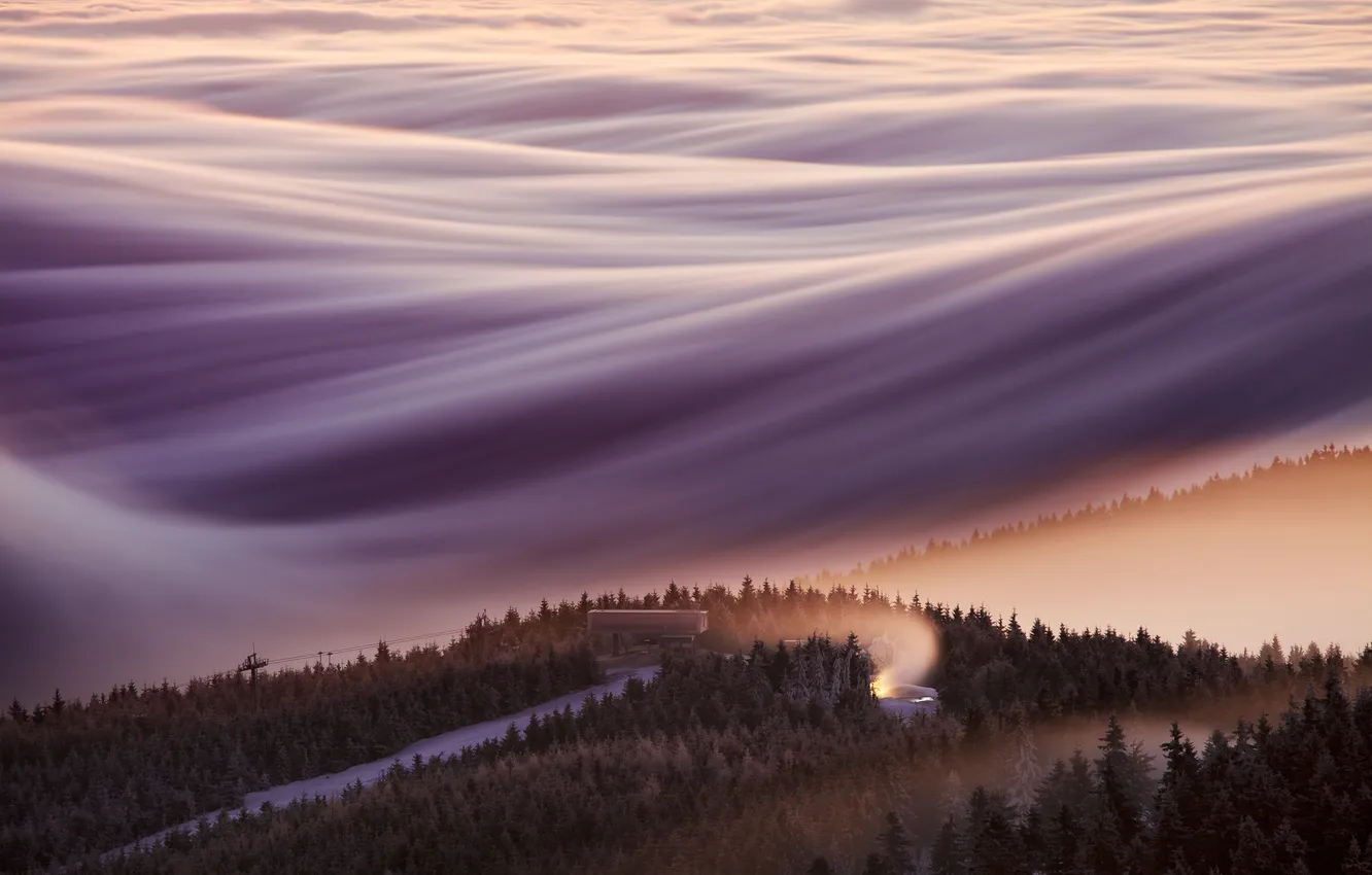 Photo wallpaper forest, trees, landscape, nature, clouds, environment, mist, long exposure