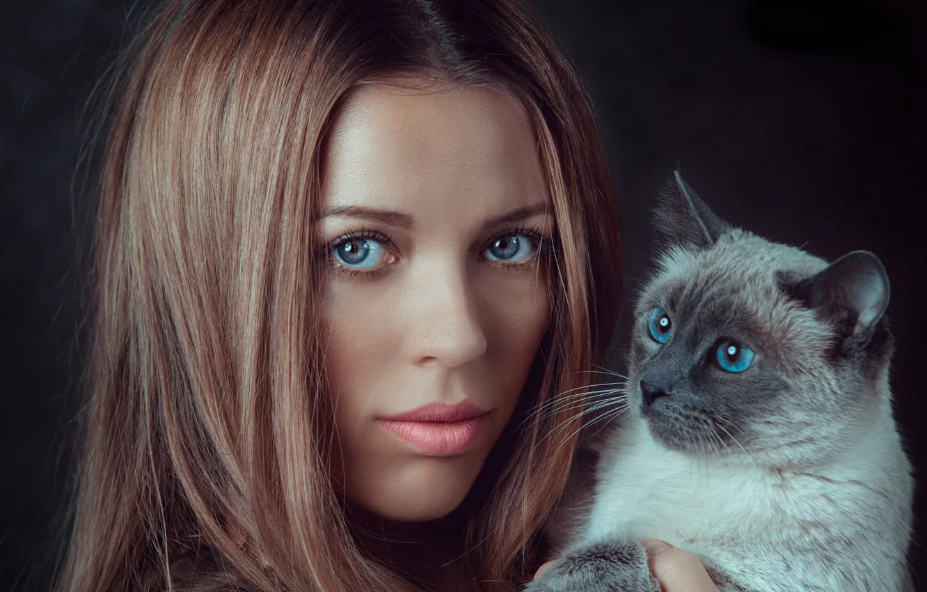 Photo wallpaper girl, Model, photo, cat, blue eyes, lips, face, animal