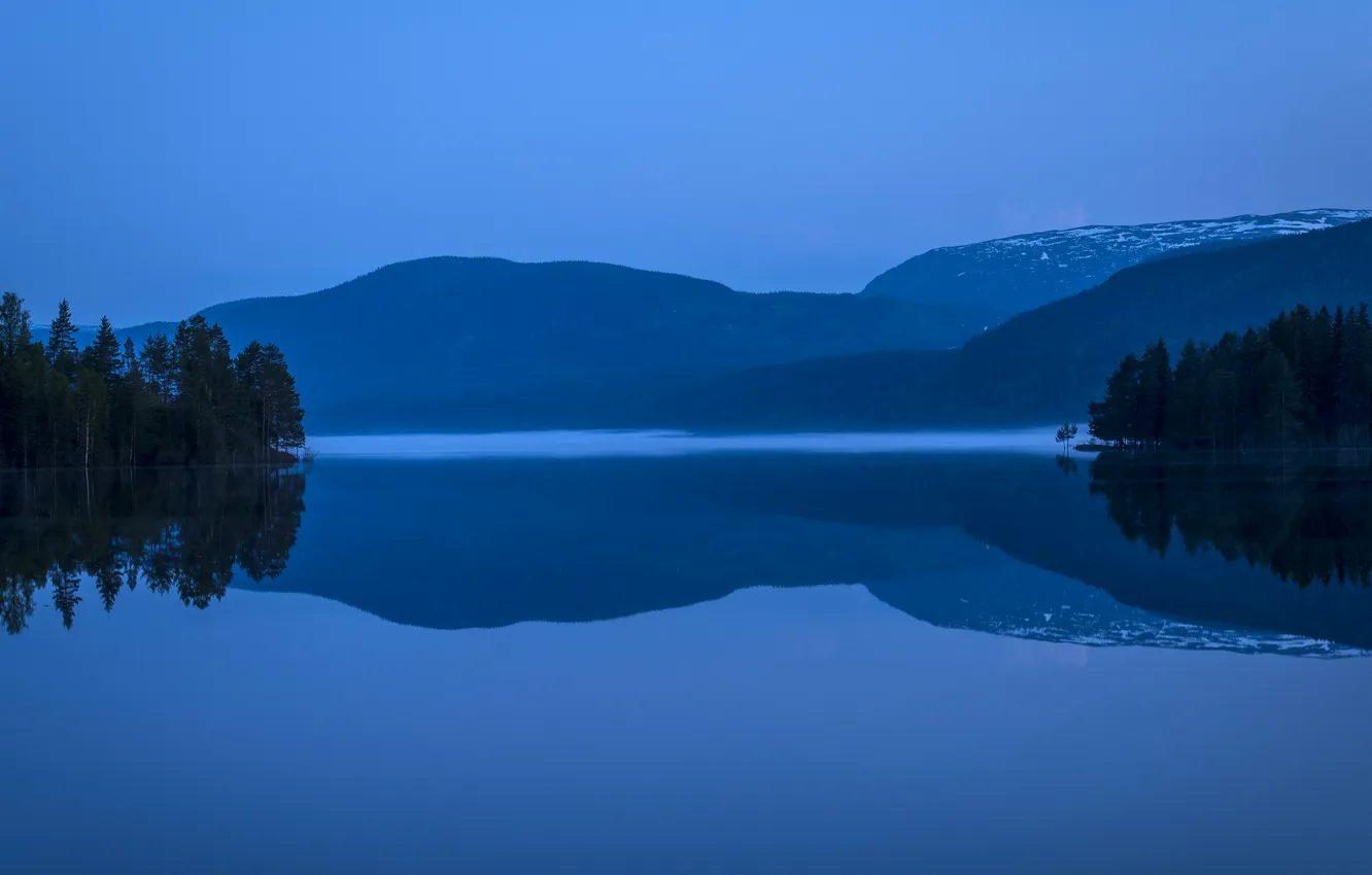 Photo wallpaper dark, sky, trees, landscape, nature, sunset, water, night
