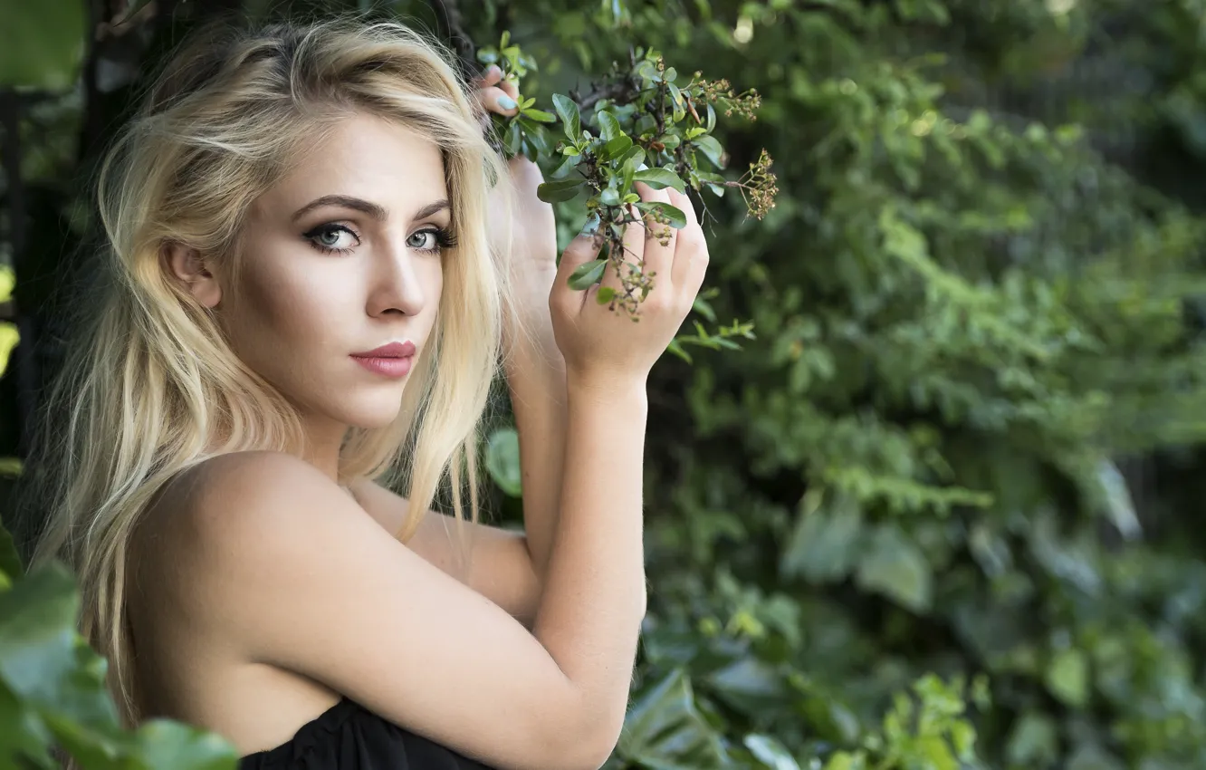 Photo wallpaper look, branches, sexy, model, hair, Blondie, Asha