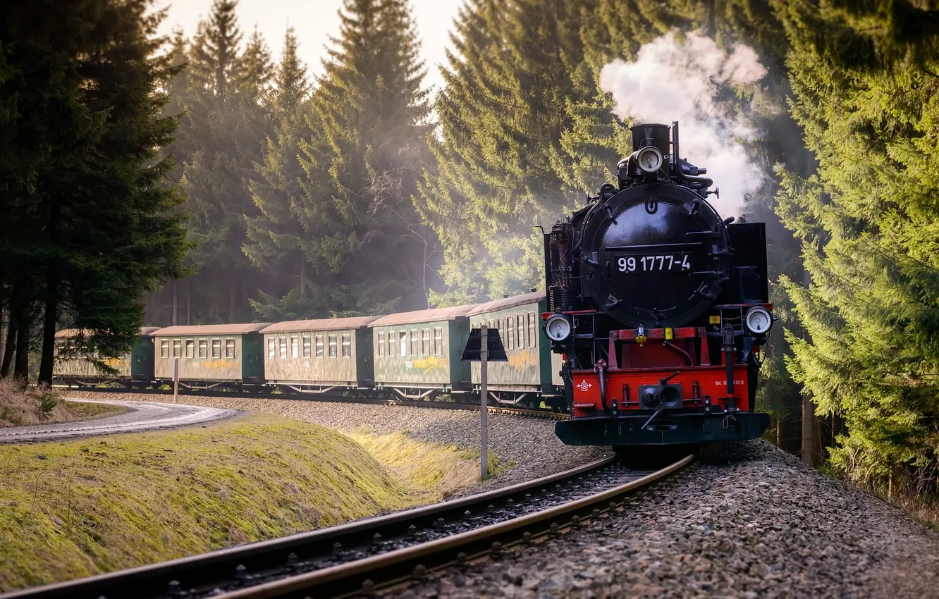 Photo wallpaper forest, trees, landscape, nature, train