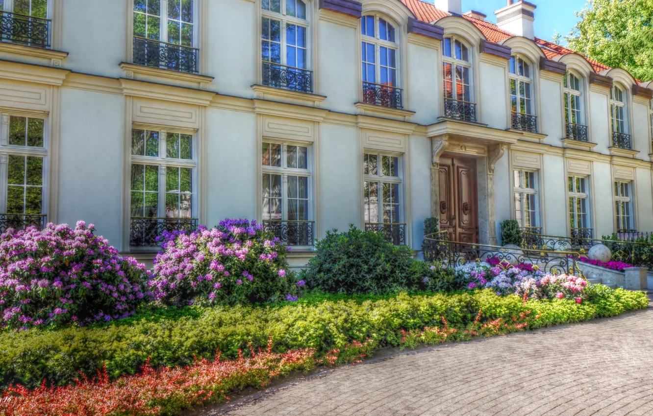 Photo wallpaper road, park, garden, home, building