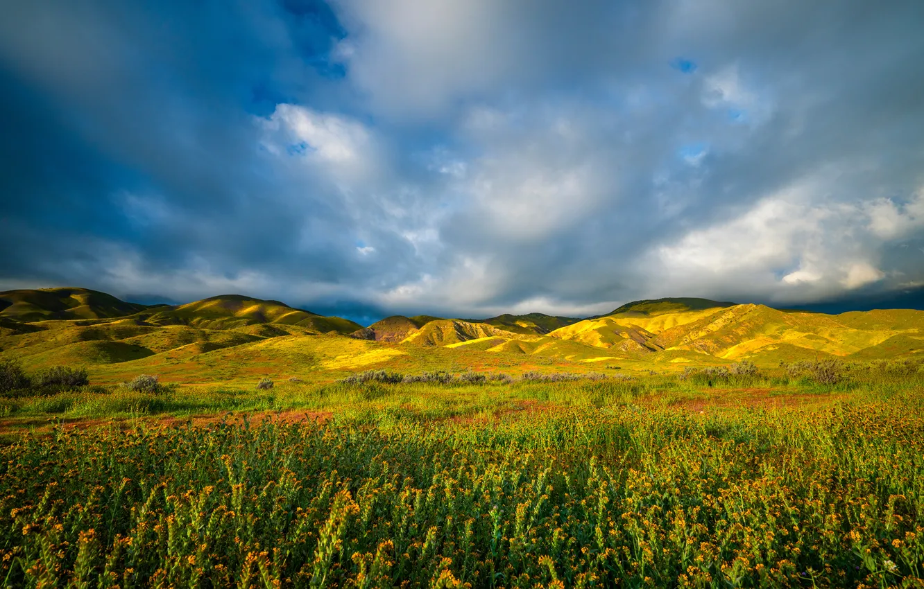 Photo wallpaper field, the sky, clouds, mountains, USA, Carrizo Plain National Monument