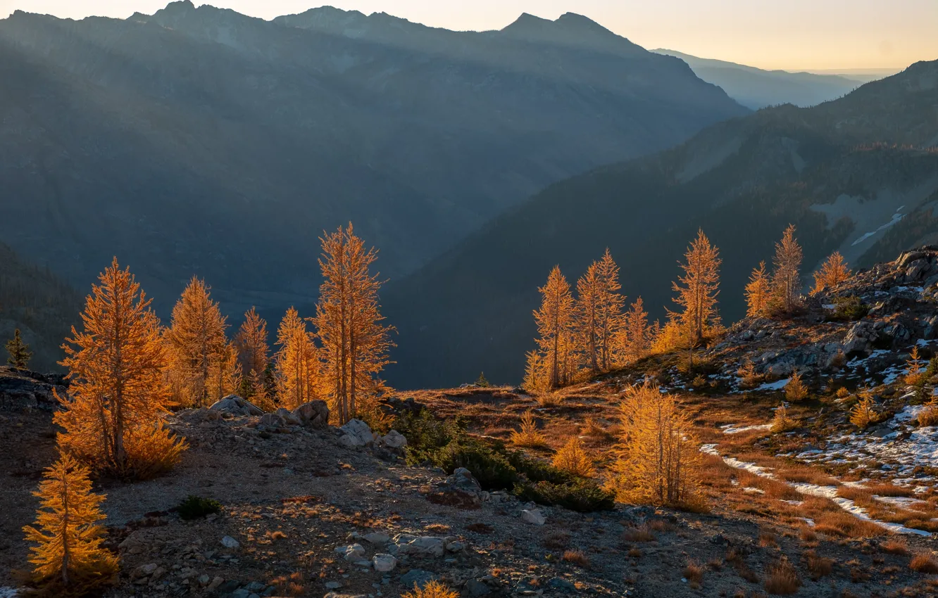 Photo wallpaper autumn, forest, trees, mountains, larch