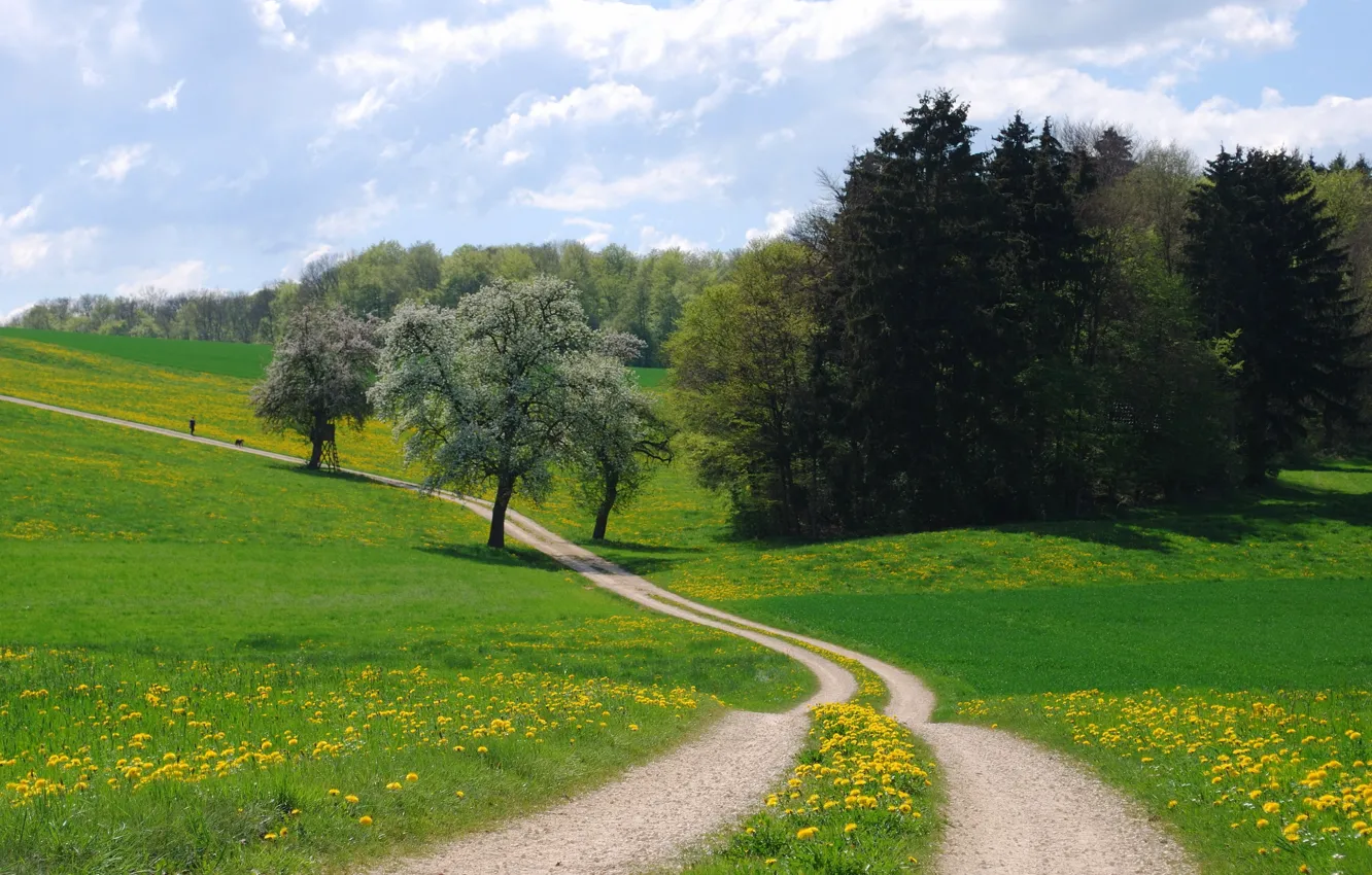 Photo wallpaper road, field, summer, landscape