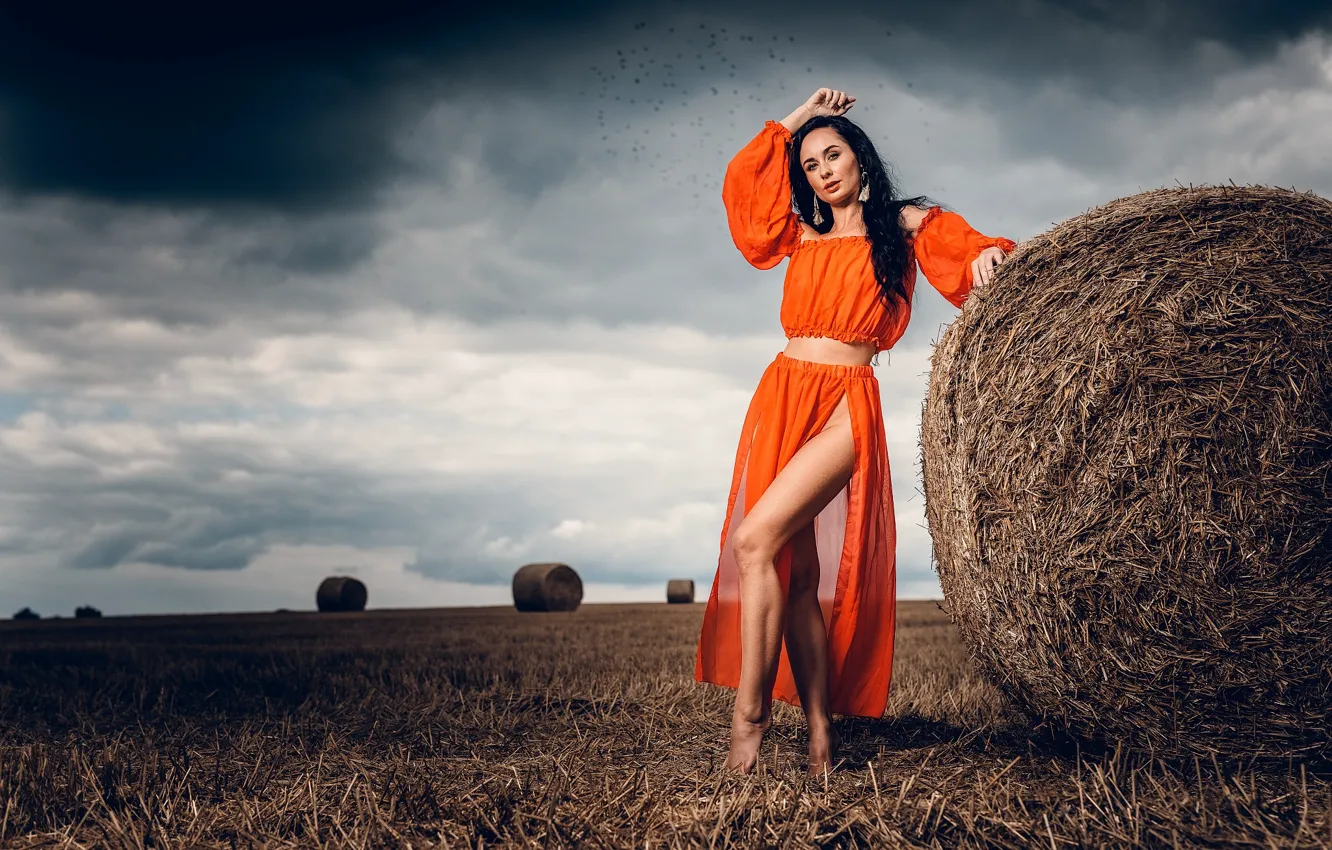 Photo wallpaper field, girl, pose, skirt, brunette, the cut, hay, legs