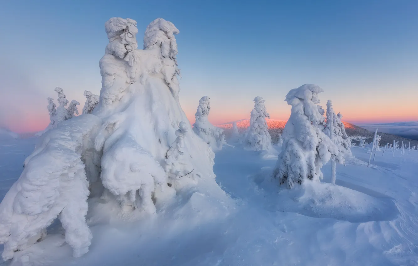 Photo wallpaper winter, snow, trees, landscape, nature, dawn, morning, ate