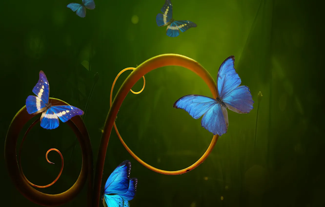 Photo wallpaper rendering, butterflies, degrees