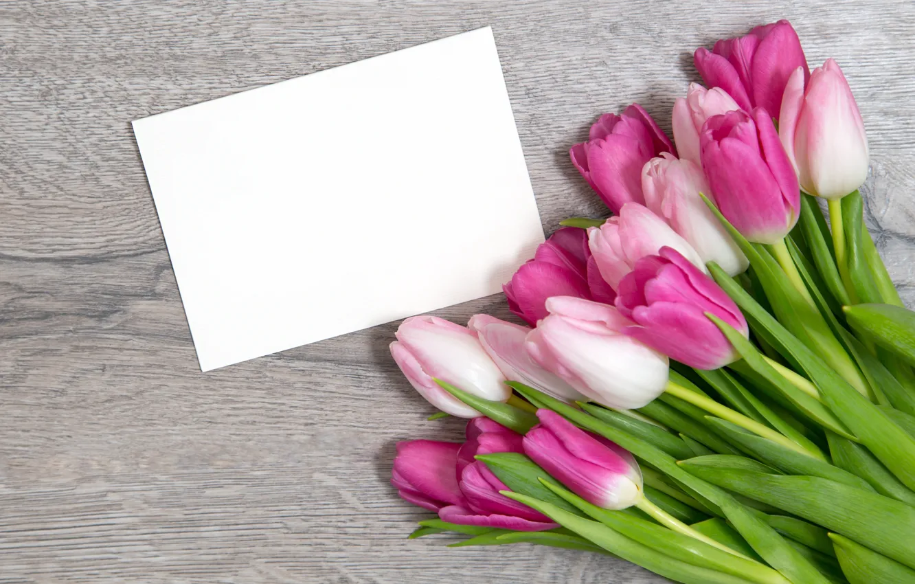 Photo wallpaper tulips, pink, wood, pink, flowers, tulips