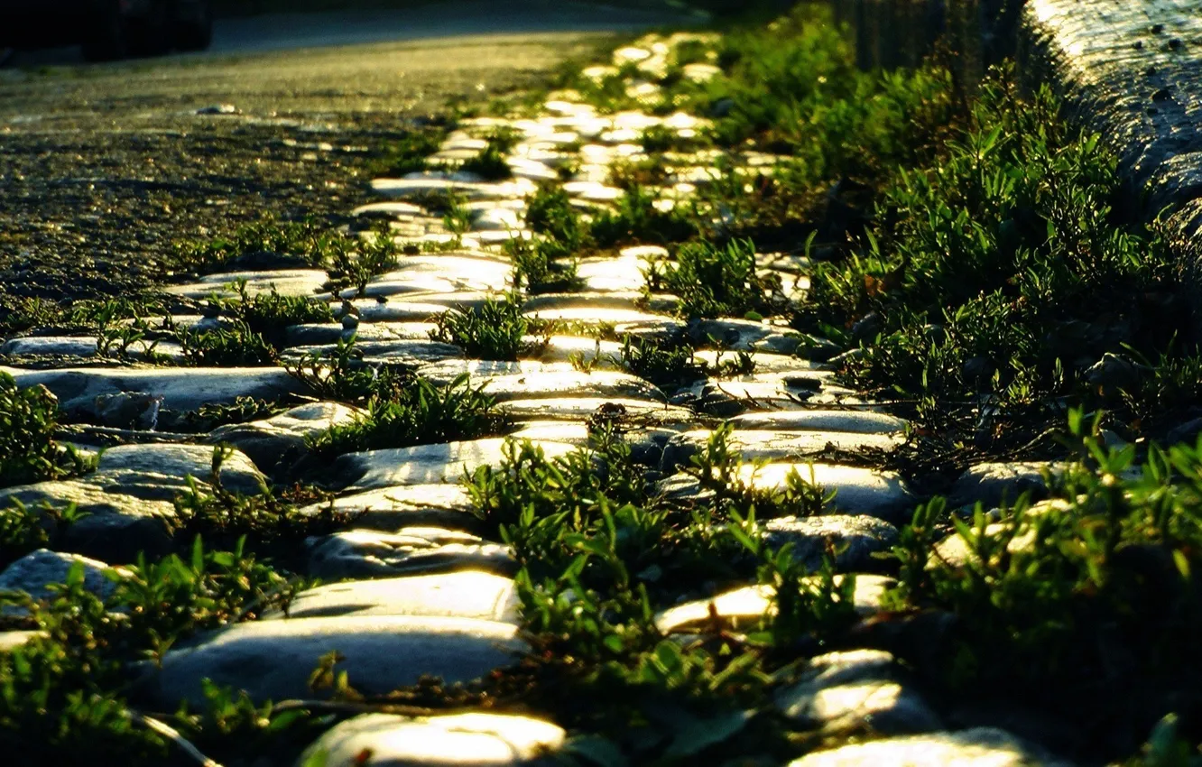Photo wallpaper road, grass, light, stones, roadside