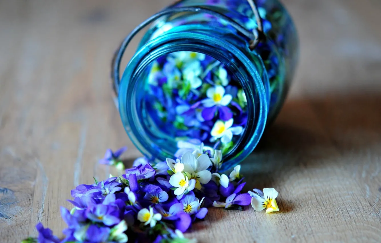Photo wallpaper flowers, blue, blue, scattered flowers