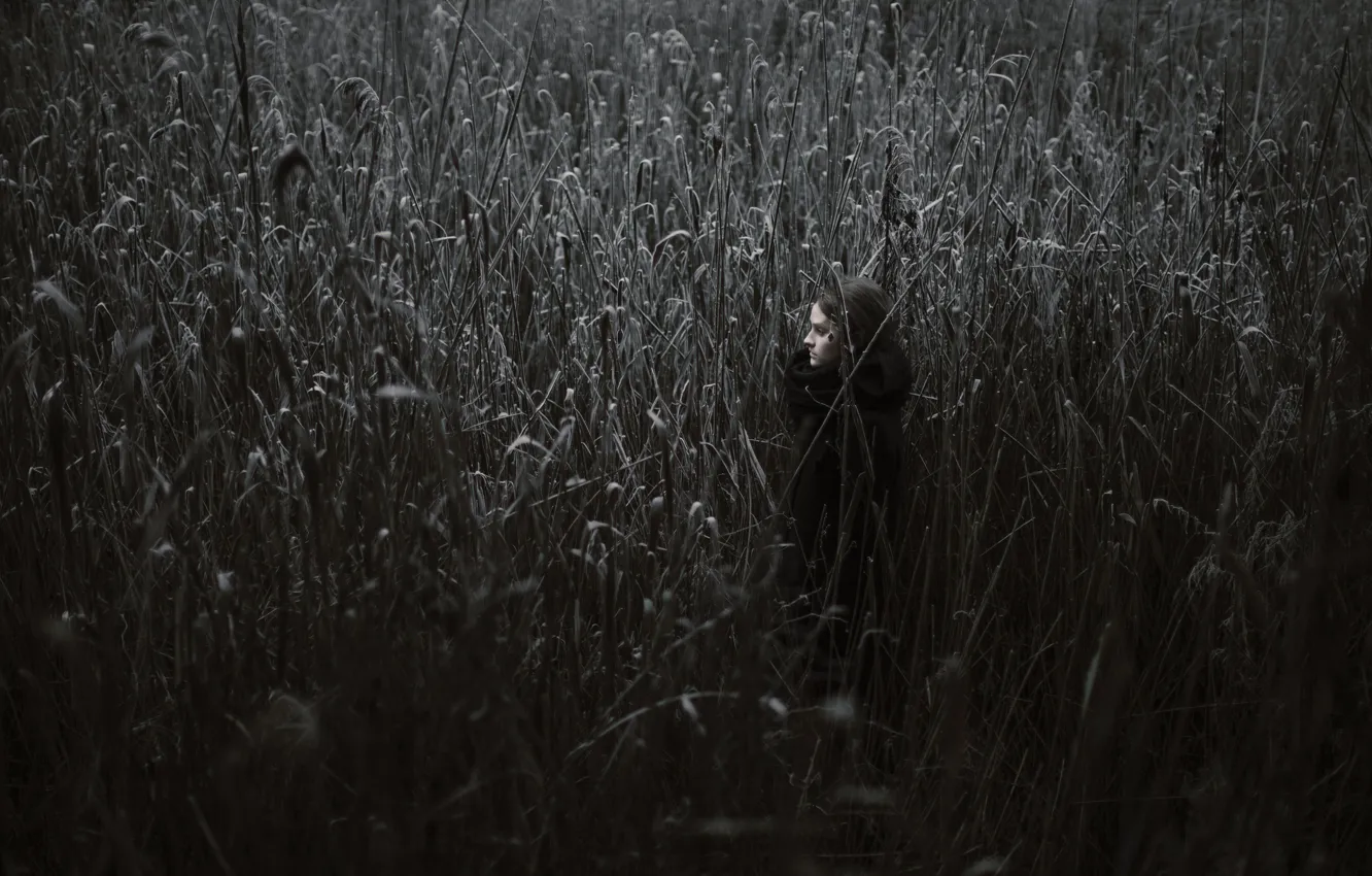 Photo wallpaper frost, girl, tall grass