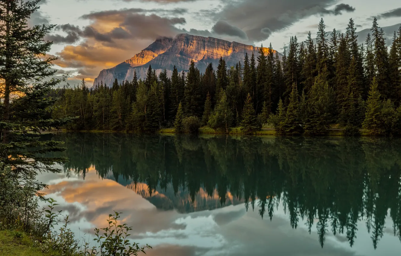 Photo wallpaper forest, the sky, clouds, light, mountains, lake, reflection, rocks