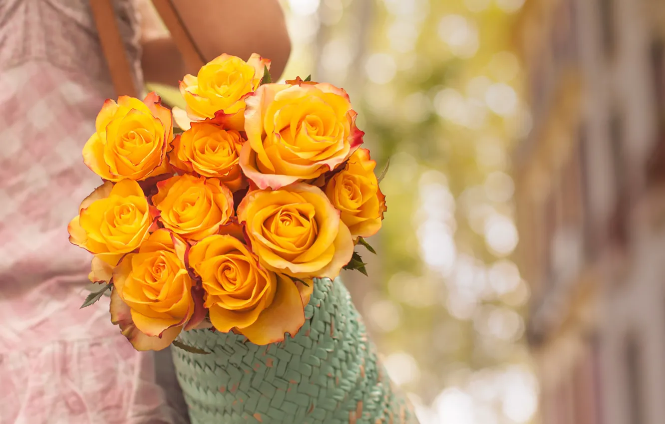 Photo wallpaper girl, flowers, bokeh, roses, sidewalk, Handbag