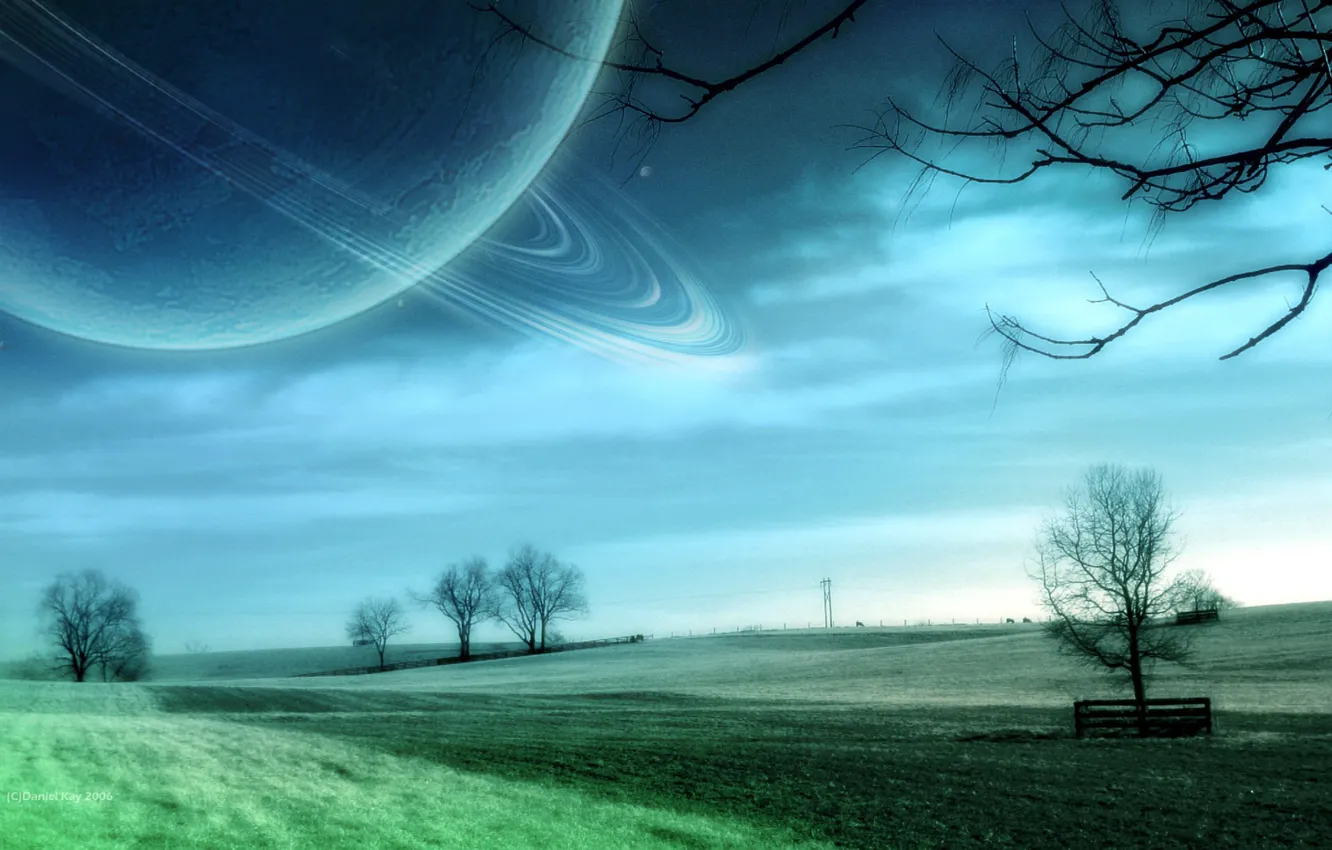 Photo wallpaper field, space, trees