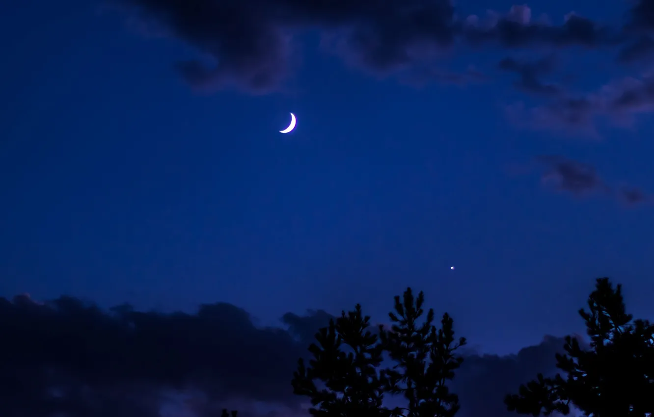 Photo wallpaper the sky, clouds, trees, night, nature, the moon
