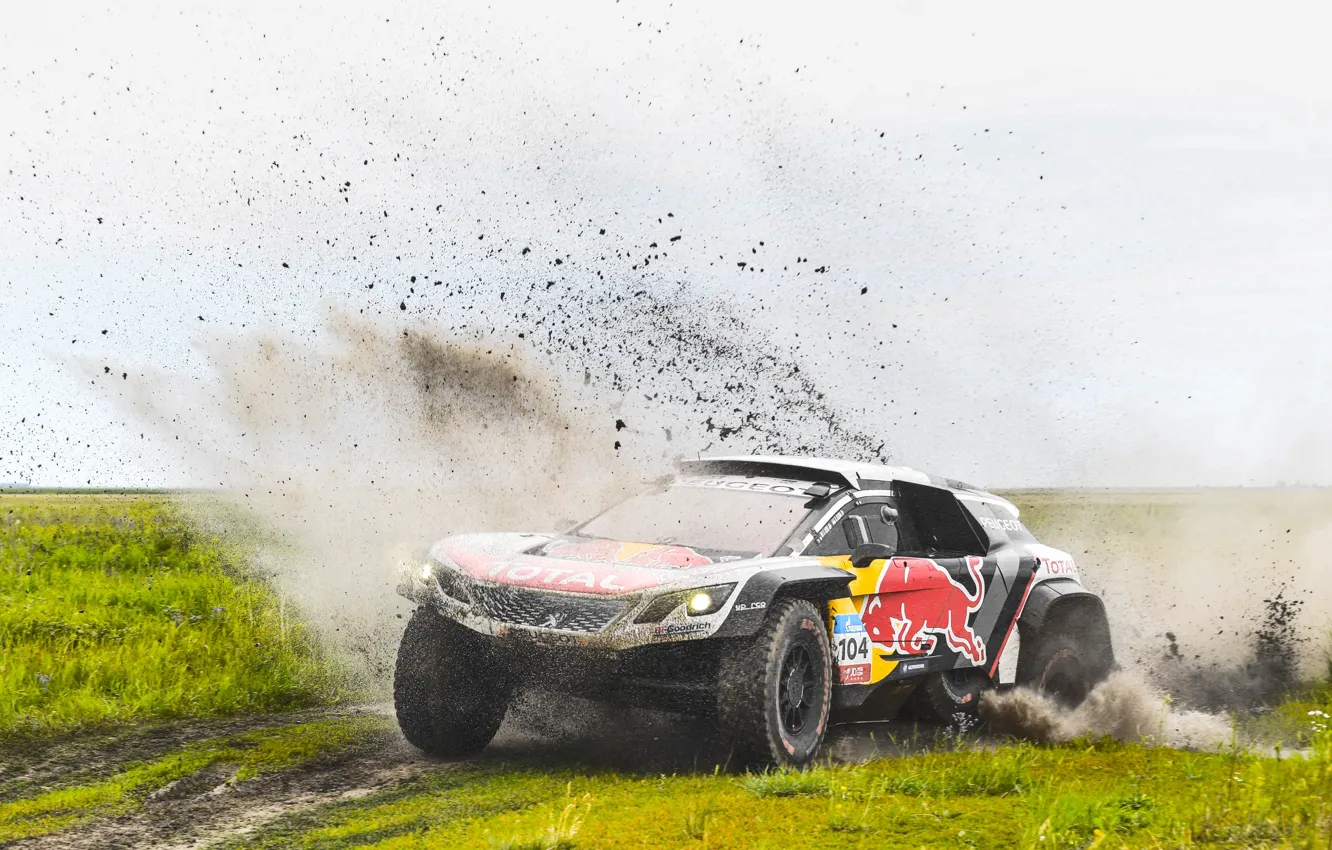 Photo wallpaper Sport, Speed, Race, Dirt, Peugeot, Squirt, Lights, Red Bull