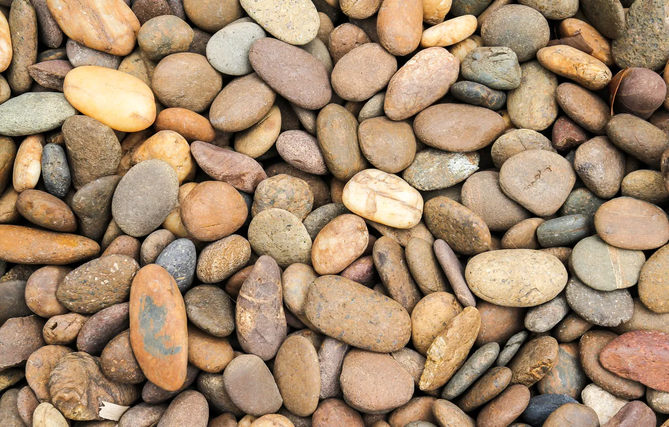 Photo wallpaper beach, pebbles, stones, background, beach, texture, background, sea
