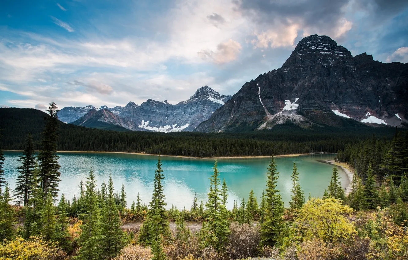 Photo wallpaper forest, trees, mountains, lake, Canada, Albert, Alberta, Canada