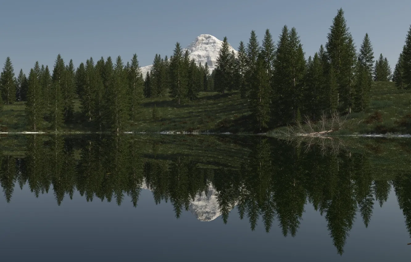 Photo wallpaper forest, trees, lake, reflection, mountain, spruce, art, top