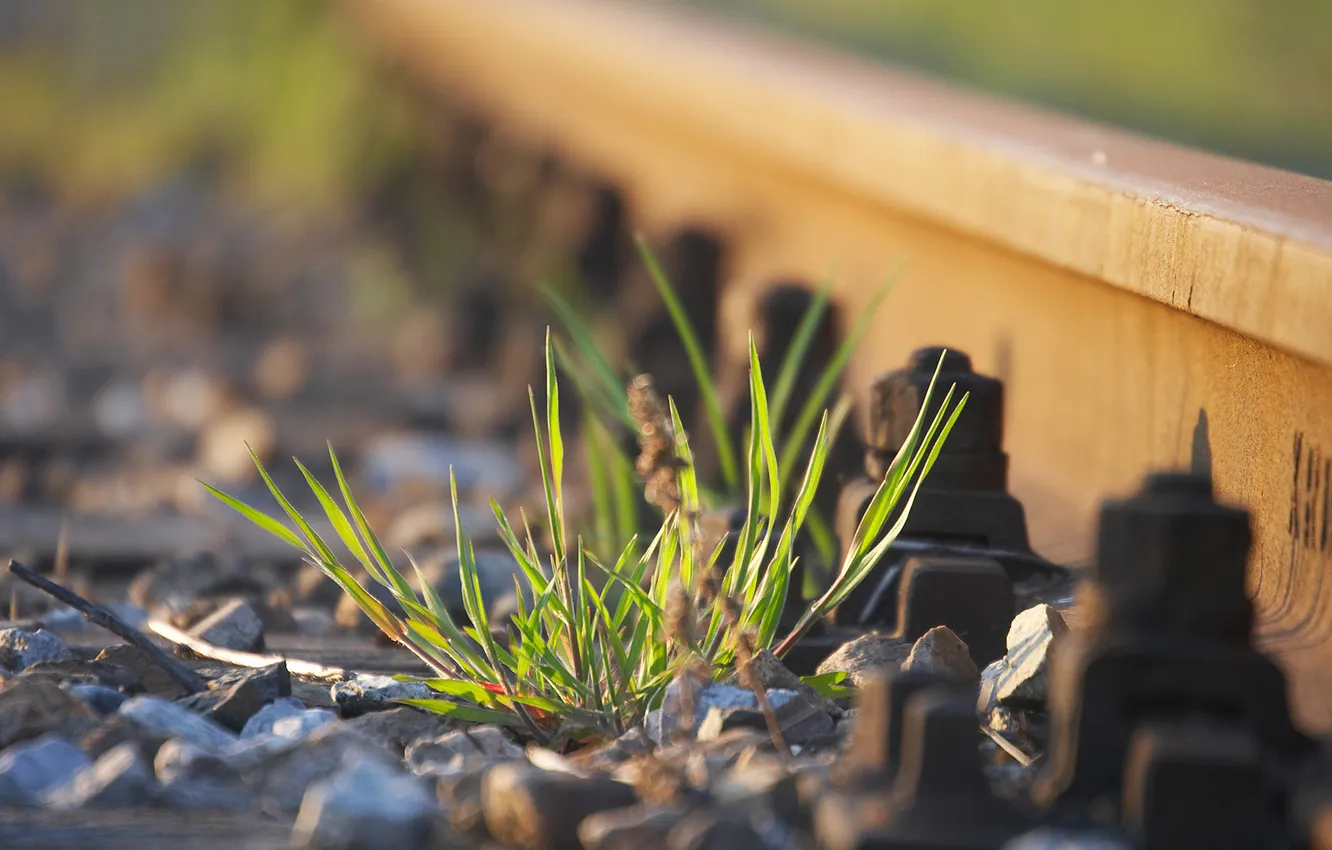 Photo wallpaper grass, macro, the way, stones, photo, Wallpaper, rails, railroad