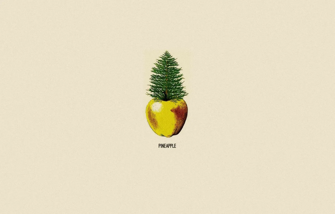 Photo wallpaper apples, minimalism, pineapple, pine