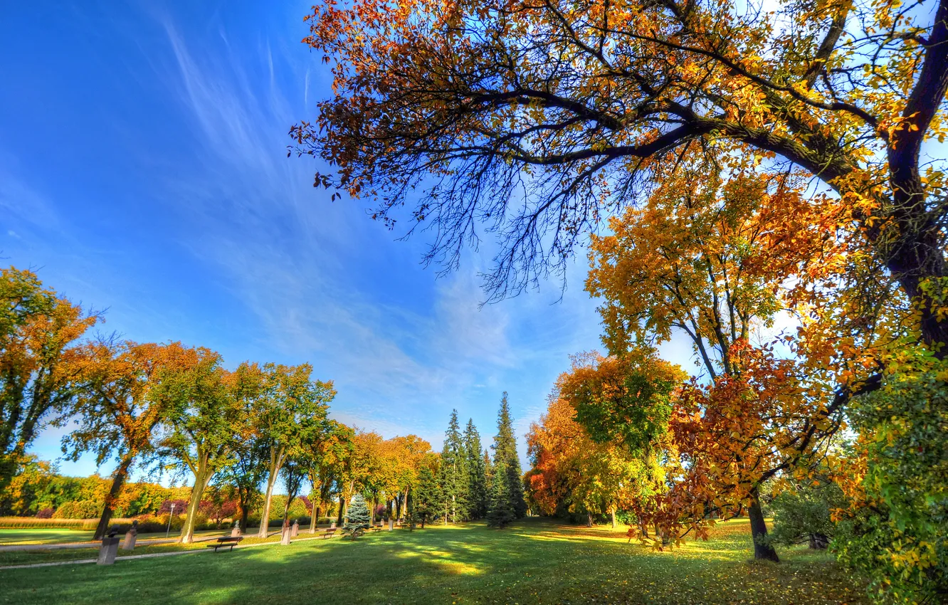 Photo wallpaper autumn, the sky, grass, trees, Park, track, bench