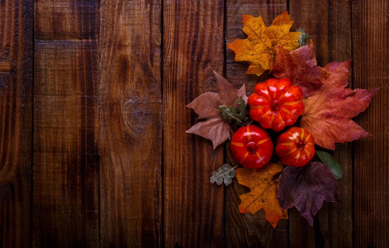 Photo wallpaper autumn, leaves, background, Board, colorful, pumpkin, maple, wood
