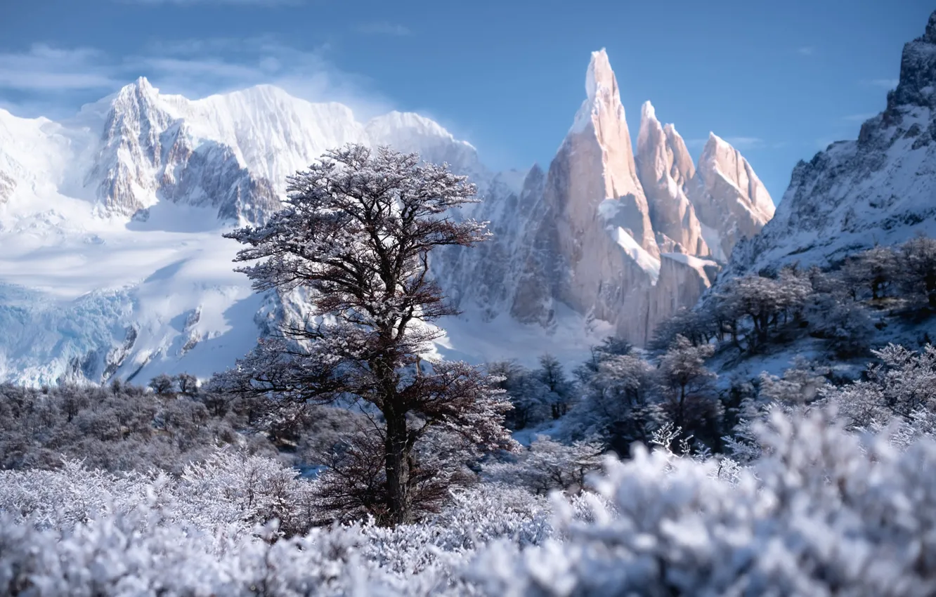 Photo wallpaper winter, snow, trees, landscape, mountains, nature, rocks, Patagonia
