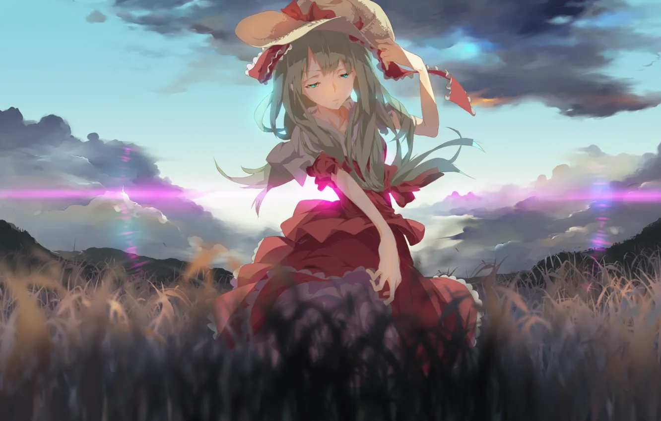 Photo wallpaper field, the sky, grass, red dress, long hair, touhou, Kagiyama Hina, straw hat