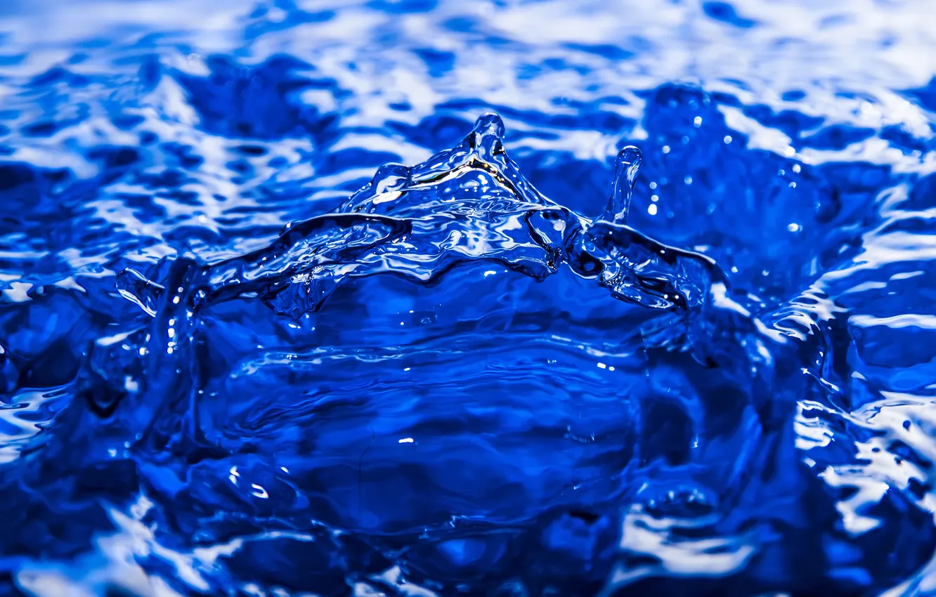 Photo wallpaper water, drops, splash, liquid