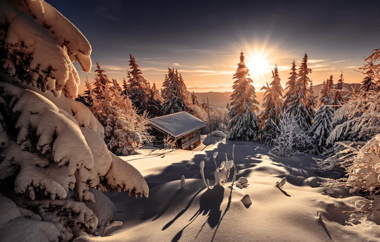 Photo wallpaper winter, forest, the sky, the sun, clouds, rays, light, snow