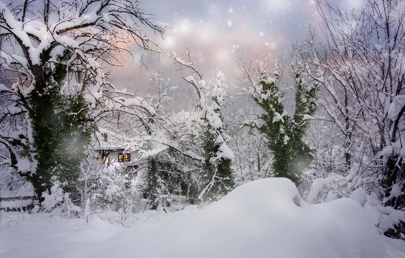 Photo wallpaper winter, snow, trees, landscape, nature, house, the snow, snowfall