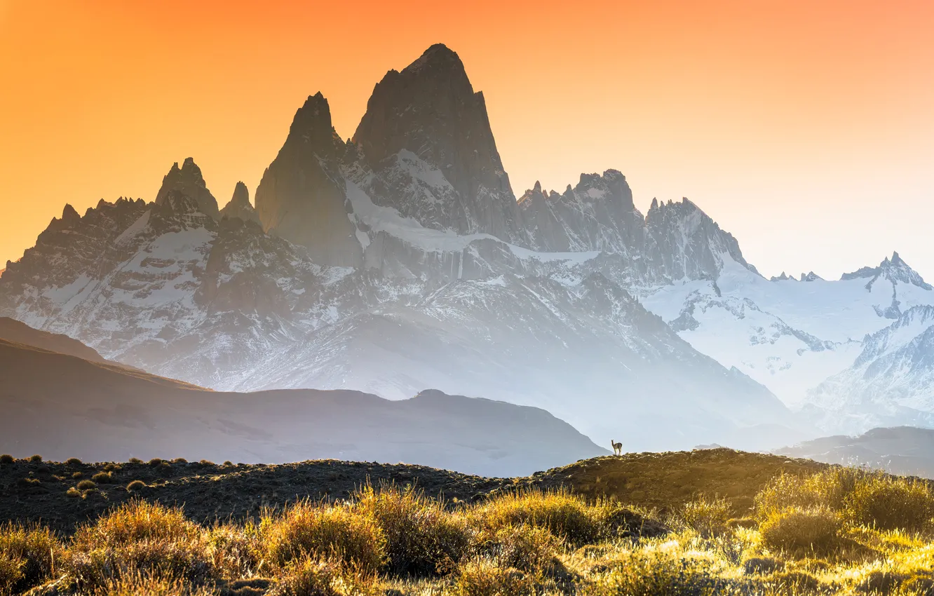 Photo wallpaper Argentina, mountains, national, parks, The Glaciers