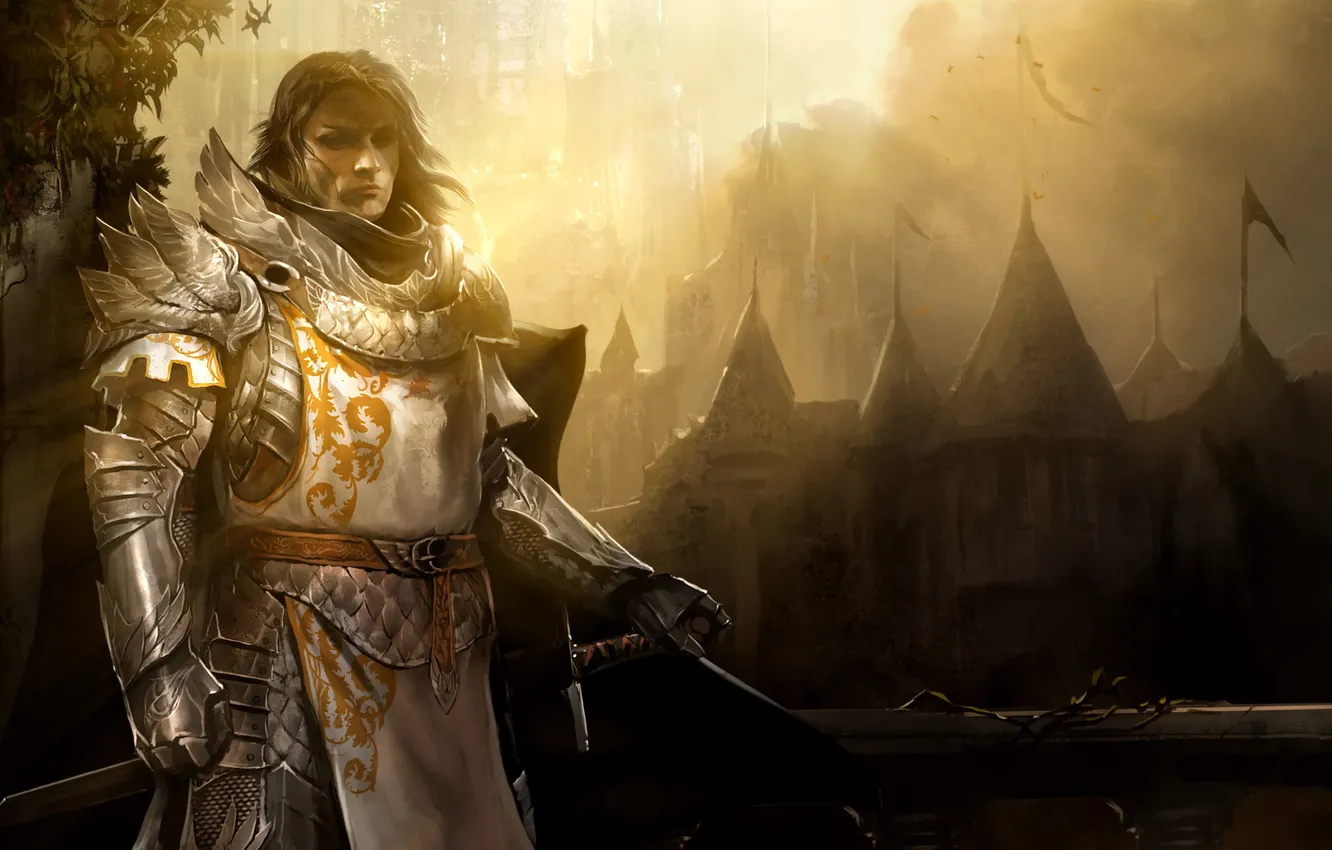 Photo wallpaper man, armor, guild wars2