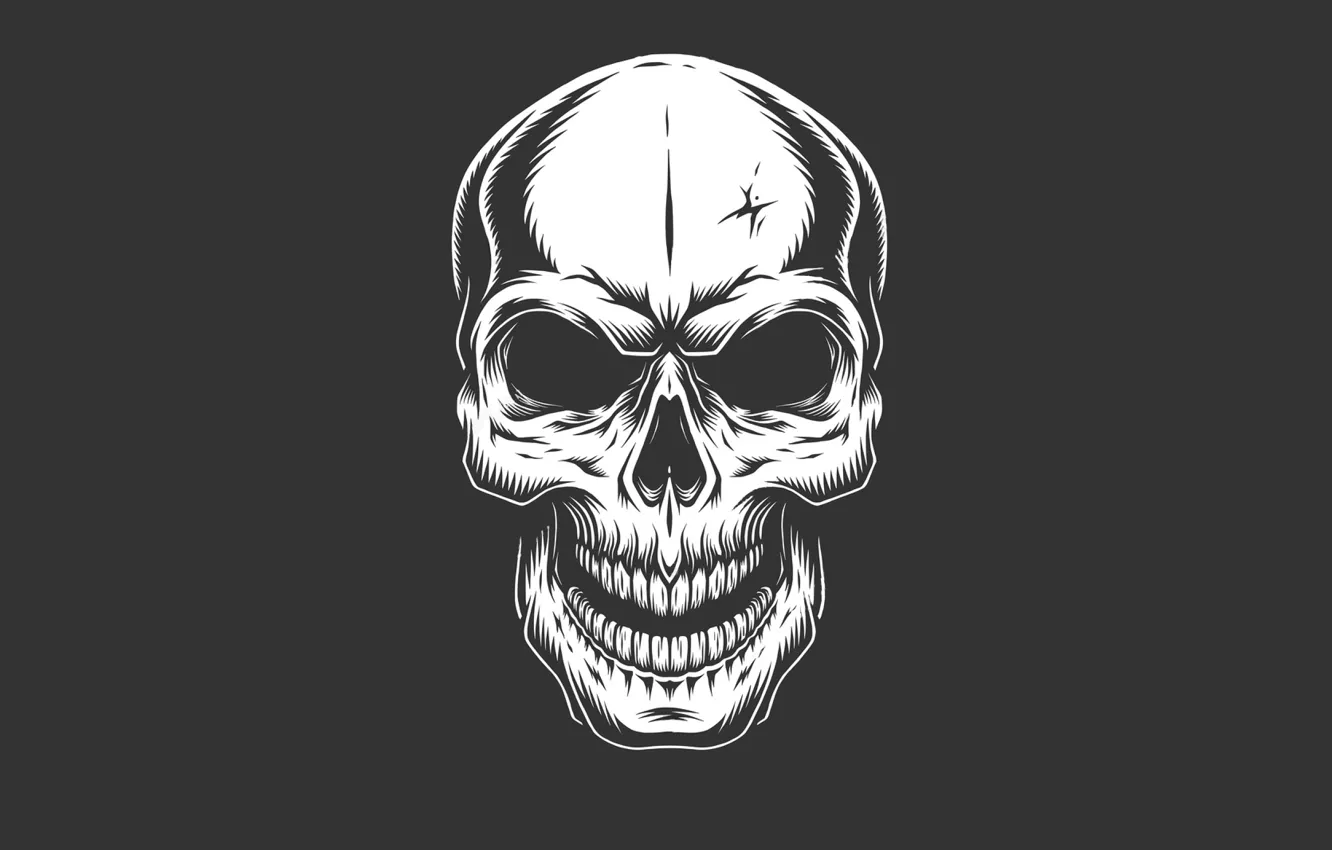 Photo wallpaper skull, minimalism, head, skeleton, sake