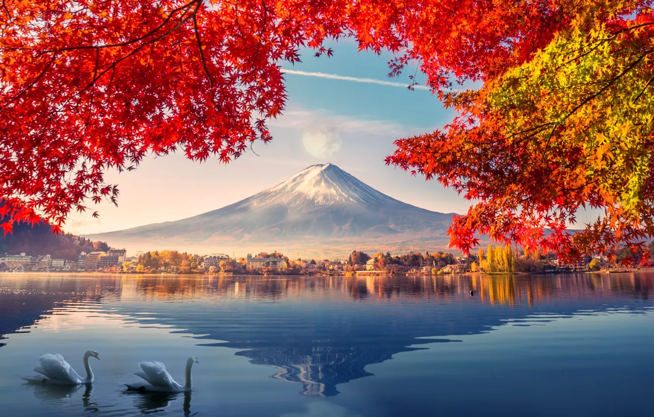 Photo wallpaper autumn, swans, Fuji
