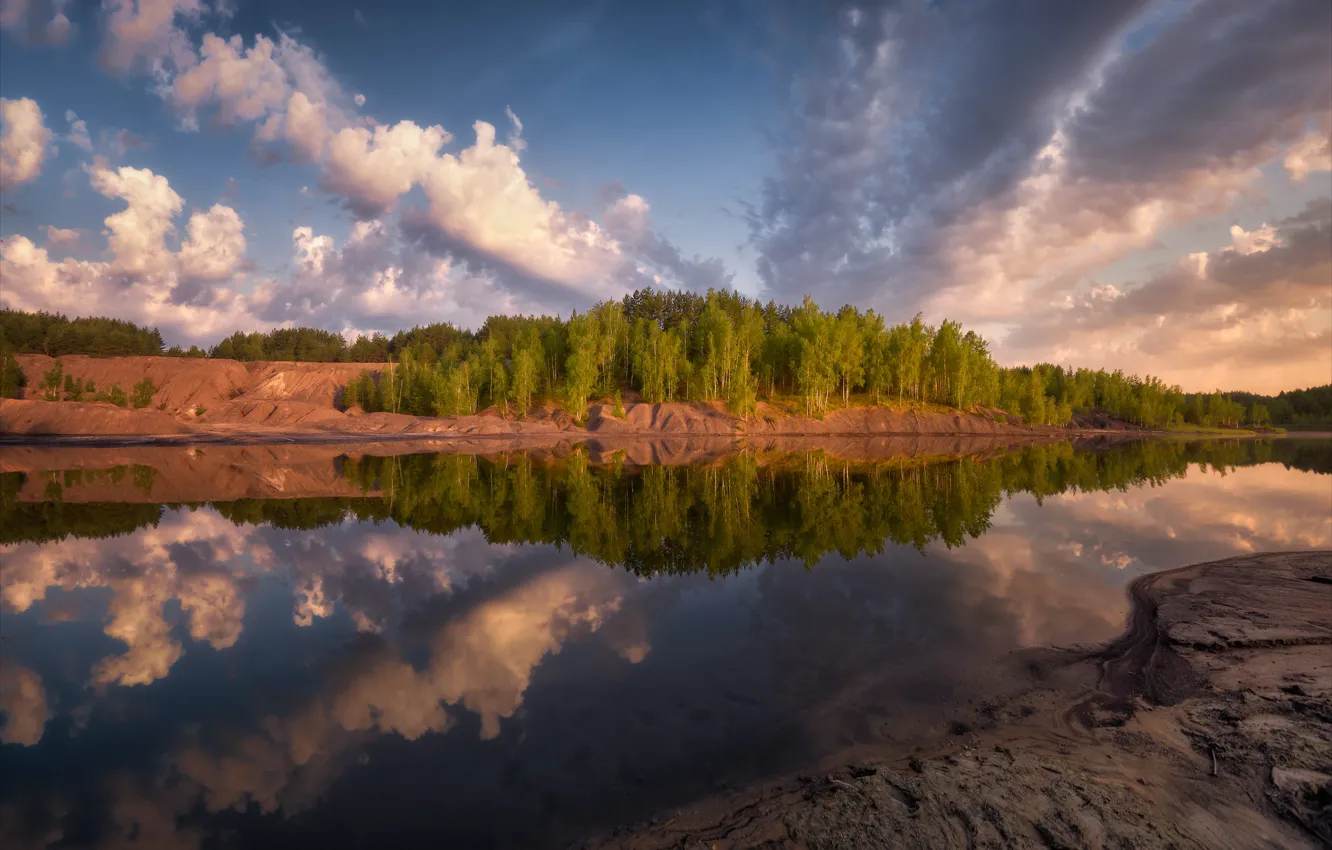 Photo wallpaper forest, reflection, pond, mirror