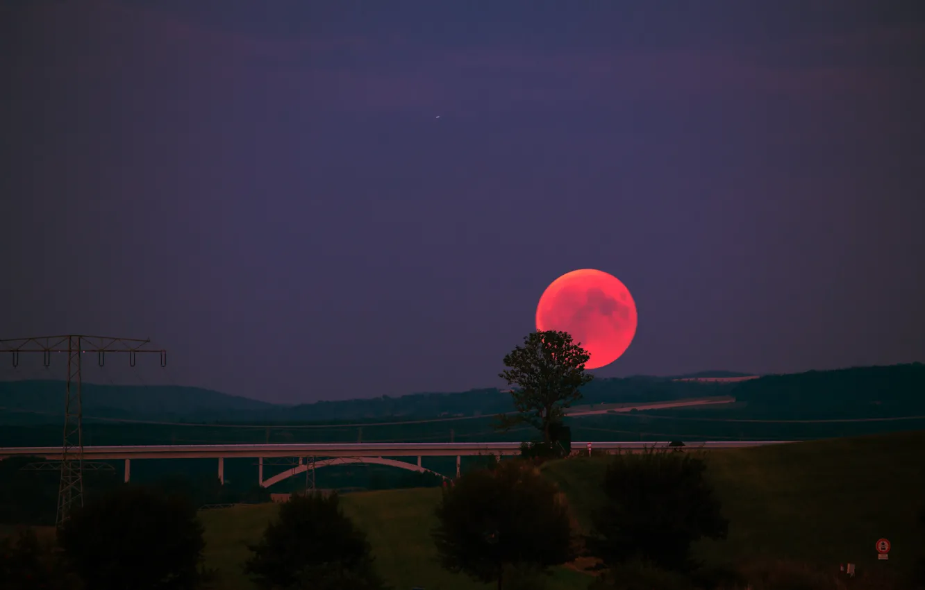 Photo wallpaper stars, trees, mountains, night, bridge, nature, the moon, red moon