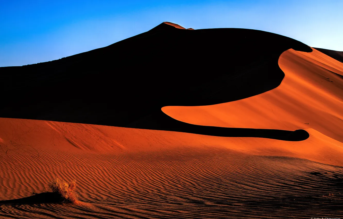 Photo wallpaper sand, landscape, desert, dunes