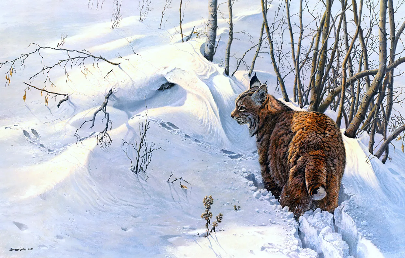 Photo wallpaper winter, snow, branches, picture, art, the snow, painting, lynx