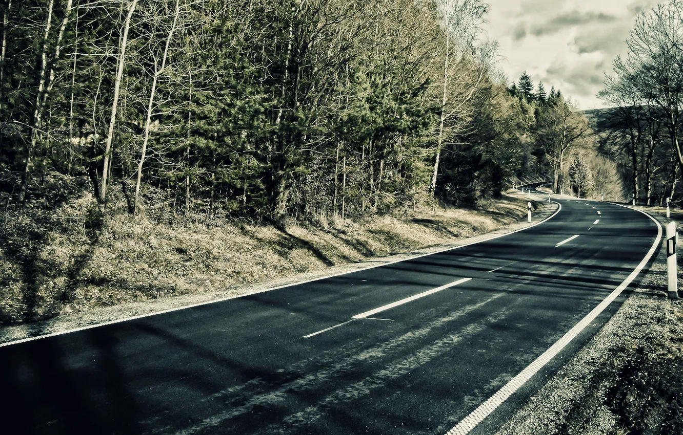 Photo wallpaper road, forest, track